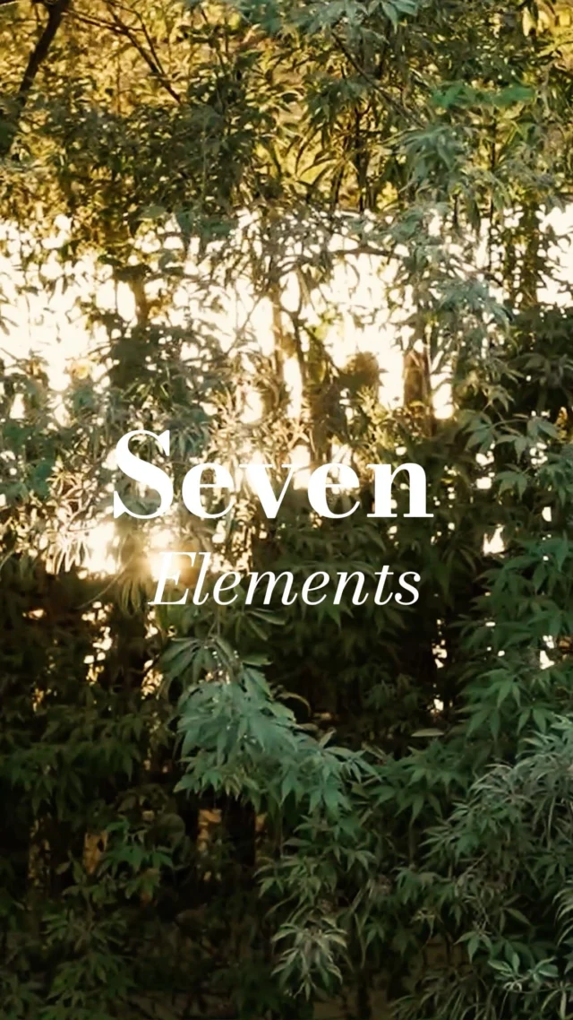 Contact - Seven Elements